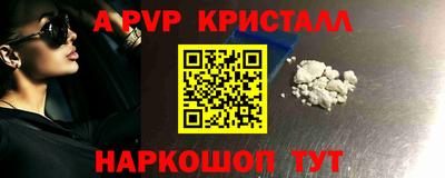 спиды Моздок