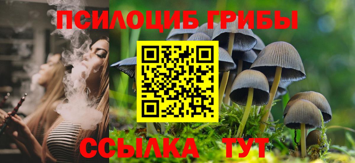 Усинск  Псилоцибиновые грибы мухоморы  Вход с VPN 